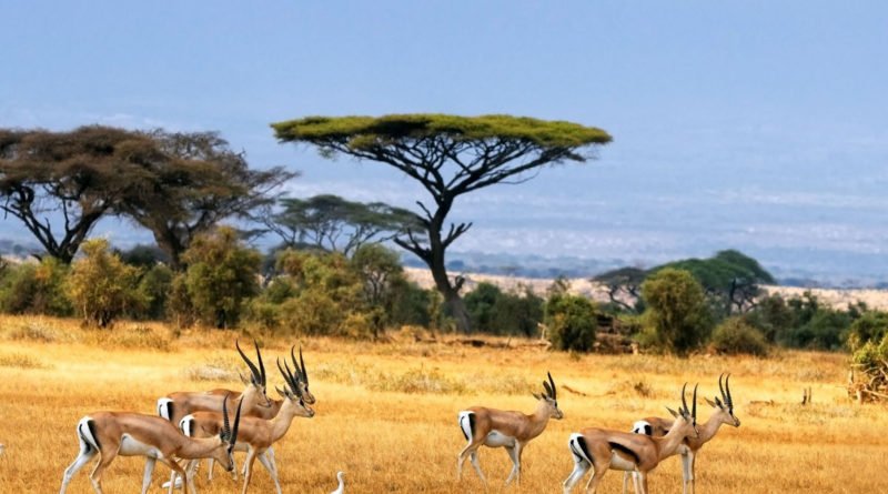 5 Tempat Wisata Lokal Nuansa Internasional